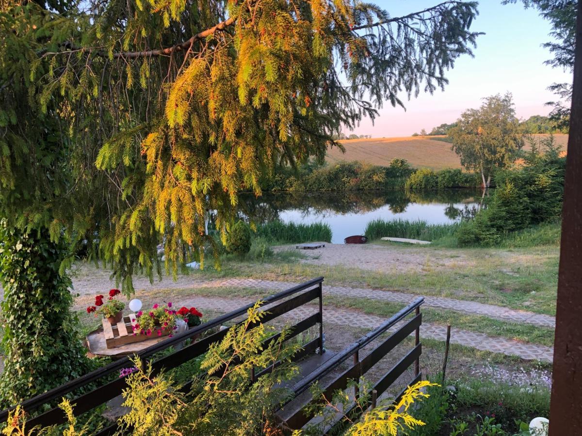 Kaszubski Loft Z Wlasnym Stawem Rybnym Żukowo Dış mekan fotoğraf