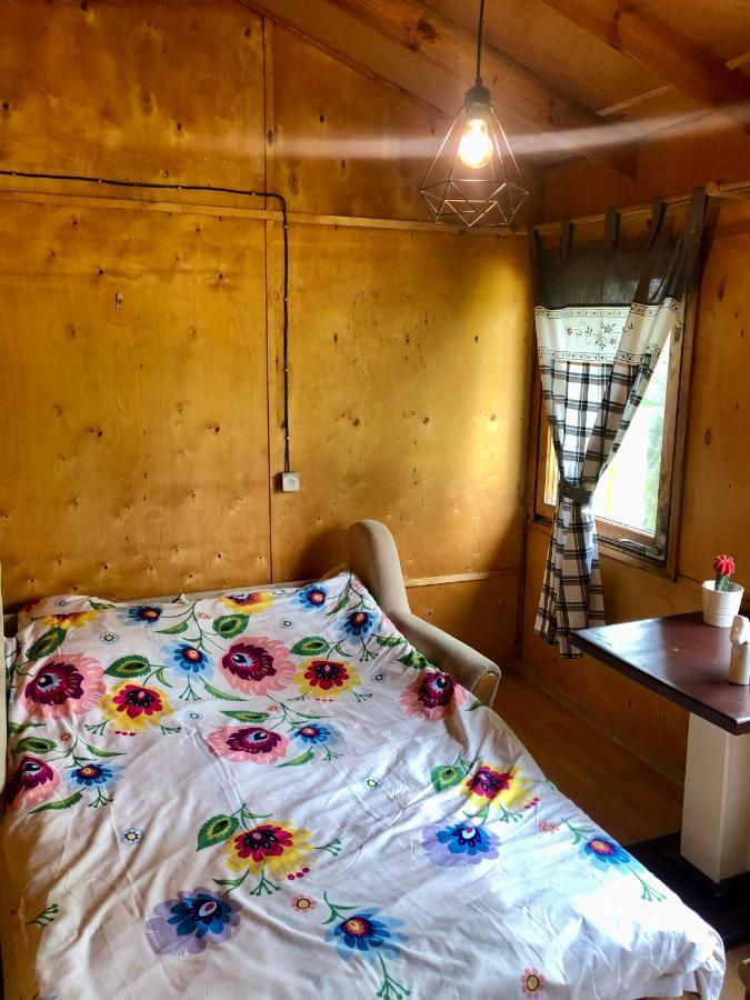 Kaszubski Loft Z Wlasnym Stawem Rybnym Żukowo Dış mekan fotoğraf